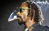 Snoop Lion [Reincarnated] 트랙리스트 &amp; 참여 진 공개