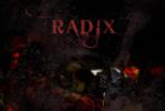 레이딕스(Radix) - RRR vol.2